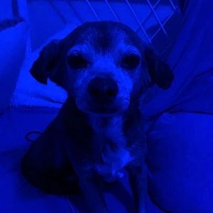 Meet your Posher, Deanna